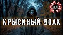 Крысиный волк