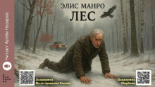 Лес