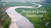 Вода из реки Лимпопо