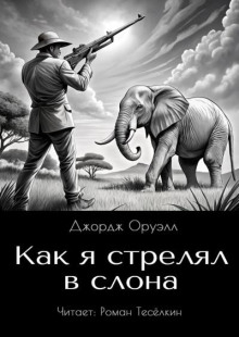 Как я стрелял в слона